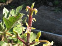 IMG_0320.jpg