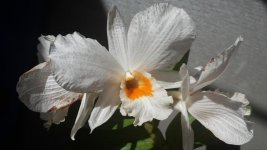 20140521_121212.jpg