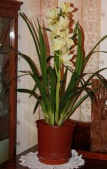 IMG_0032_2.jpg