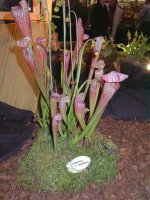 Image049_n.jpg