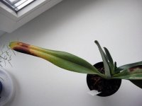 DSC01865_.jpg