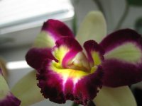 IMG_2024.jpg