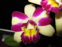 IMG_2021.jpg