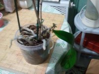2011-11-26 09.00.39.jpg