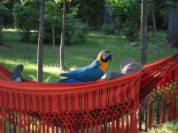 IMG_09226.jpg