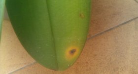 IMAG0116.jpg