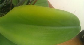 IMAG0118.jpg