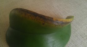 IMAG0119.jpg