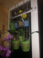 IMG_1042.jpg
