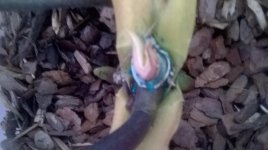 WP_20150123_002.jpg