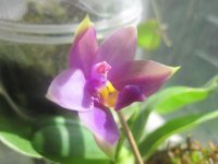 IMG_8545.jpg