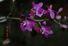 DSC_3210.jpg