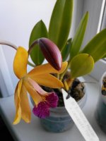 20150731182610.jpg