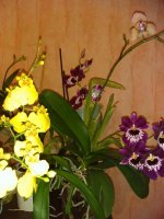 IMG_20150827_204924[1].jpg