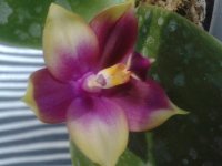 20150830_184309.jpg