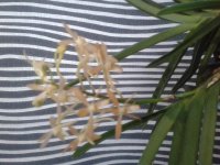20150830_184644.jpg