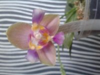20150830_184623.jpg