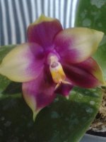 20150830_184309.jpg