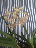 20150830_184644.jpg