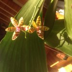 IMG_0269.jpg