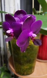 20160323_210726.jpg
