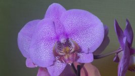 20160312_205719.jpg
