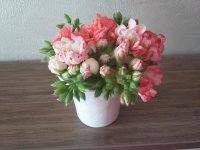 20160428_145542.jpg