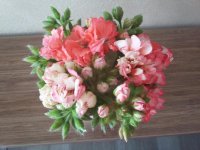 20160428_145546.jpg
