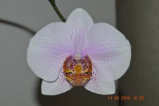 DSC_0016.jpg