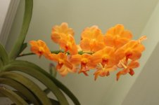 IMG_8573_1.jpg