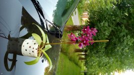 20160714_203118.jpg