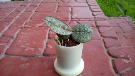 20160714_202414.jpg