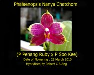 Phal%u00252BNanya%u00252BChatchom%u00252Bcard.jpg