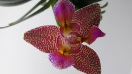 20170114_153026.jpg