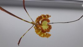 20170114_152730.jpg