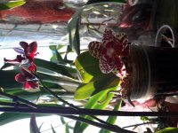 20170120_095027.jpg