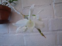 IMG_8294.jpg