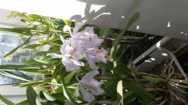 20160816_082116.jpg