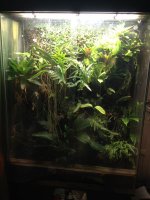 IMG_0503.jpg