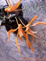 20170421_000056.jpg
