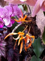 20170421_000240.jpg