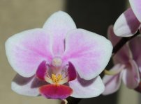 Копия IMG_9400.jpg