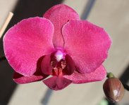 Копия IMG_9386.jpg