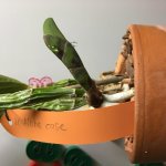 2017-05-08 09-48-26.jpg
