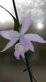 DSCN1689.jpg