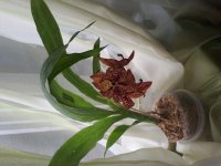 20170917_095252.jpg