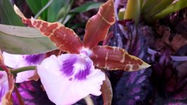 20170901_001845.jpg