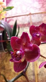 20170901_002819.jpg