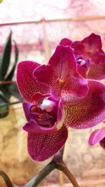 20170901_002840.jpg