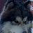 Renewa